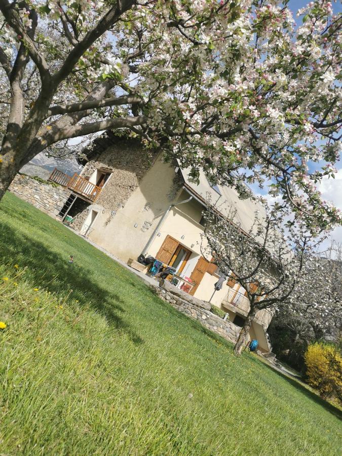Chambres D'Hotes Les Peschiers Chateauroux-les-Alpes Dış mekan fotoğraf